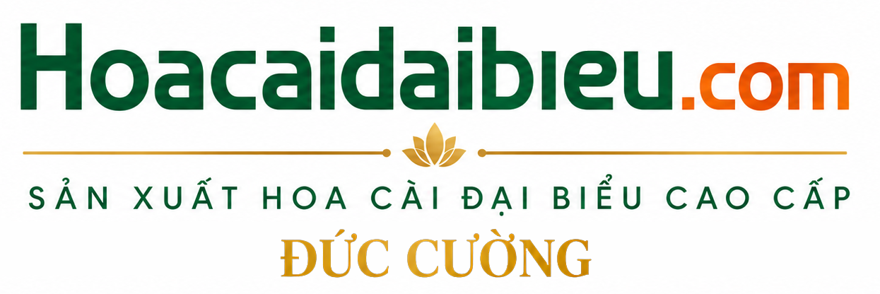 Hoa Cài Áo Đại Biểu Đức Cường